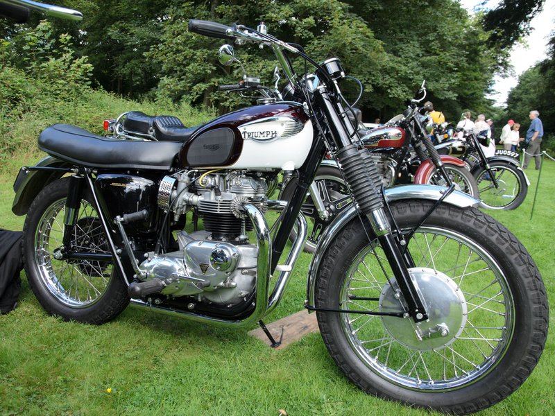 1963–1965 Triumph BONNEVILLE TT SPECIAL