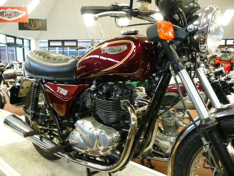 1982–1983 Triumph TSS