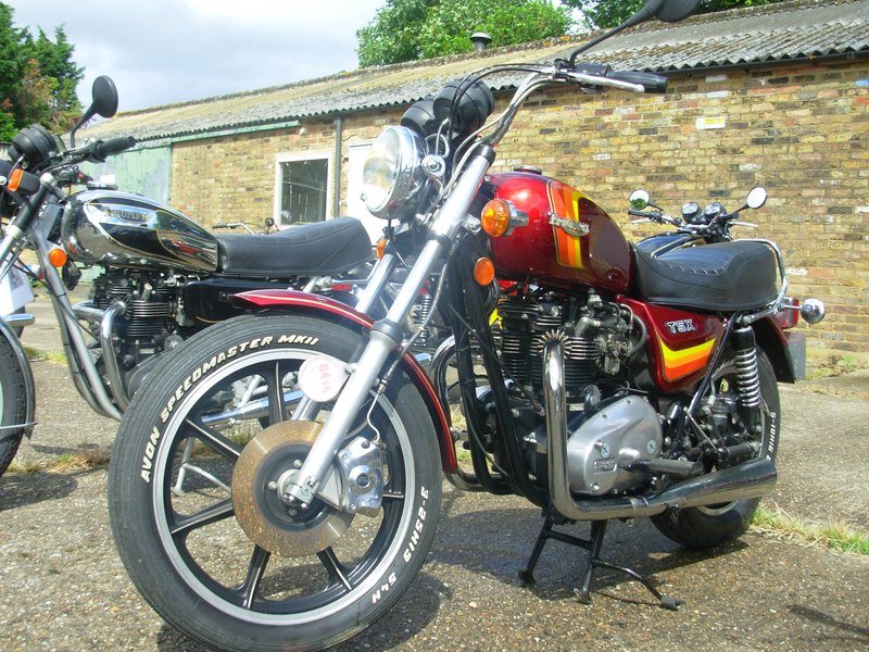 1982–1983 Triumph TSX