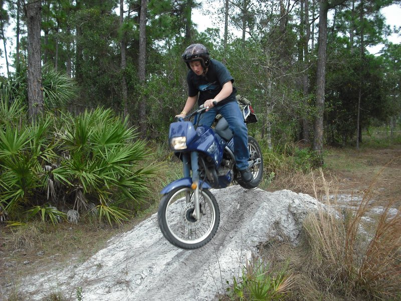 1988–1994 Honda NX 250