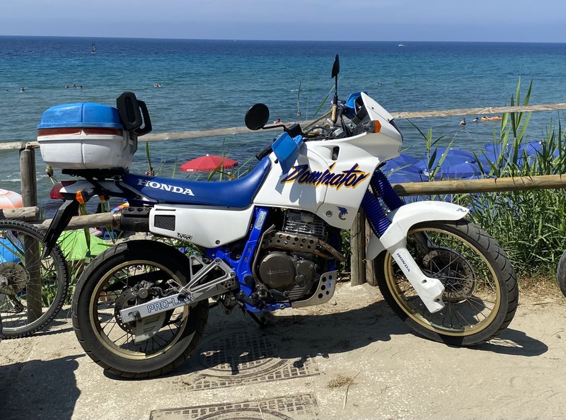 1988–2003 Honda NX 650 DOMINATOR