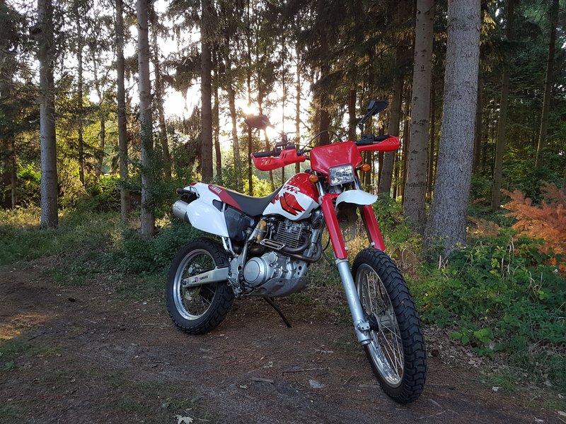 1990 Yamaha TT 600