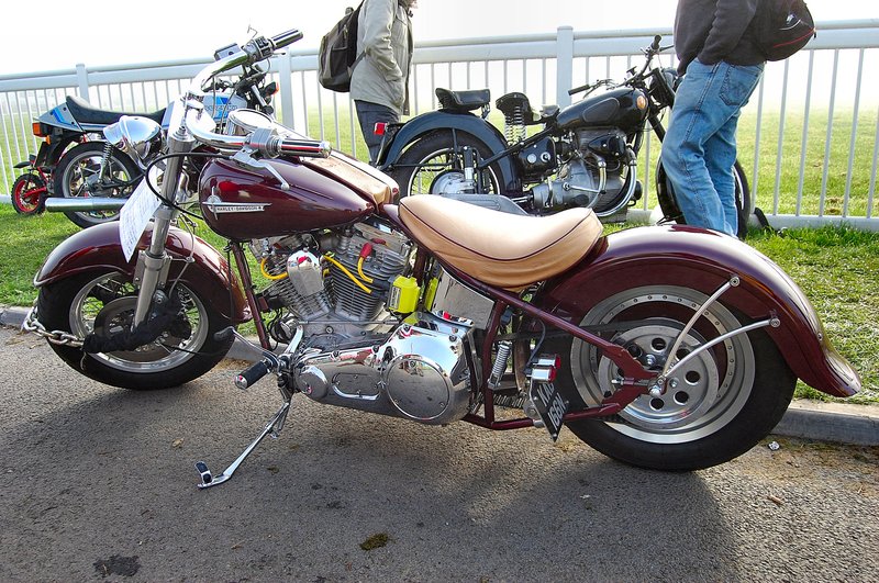 1996–1998 Harley-Davidson SOFTAIL CUSTOM