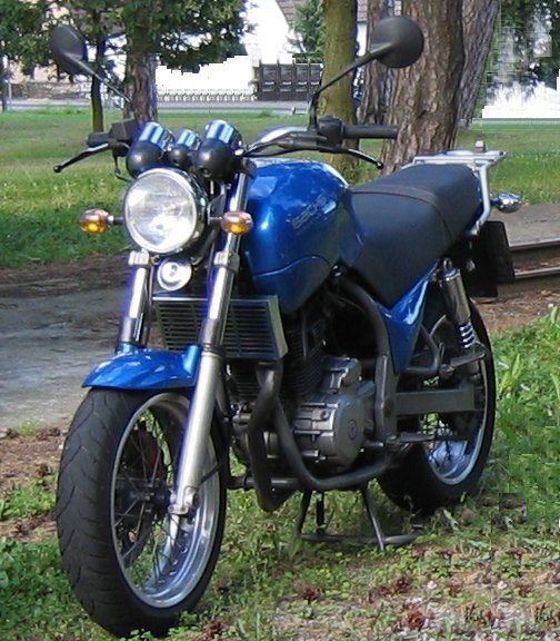 2001–2003 Sachs ROADSTER 650