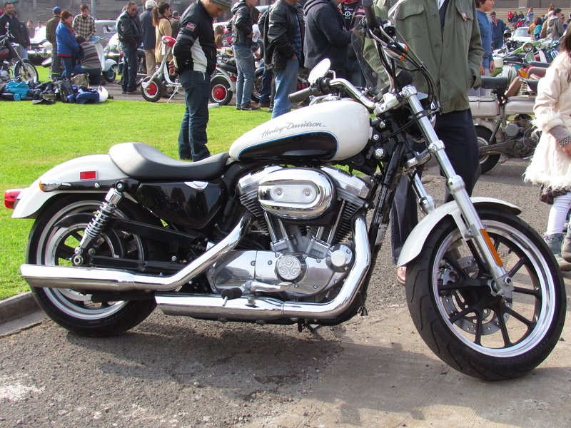 2002 Harley-Davidson XL 883 R SPORTSTER