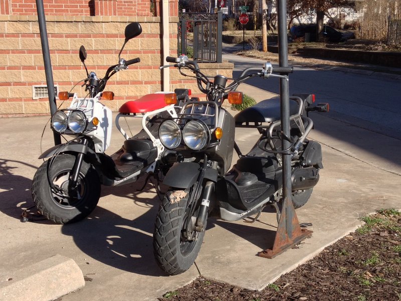 2006–2022 Honda RUCKUS