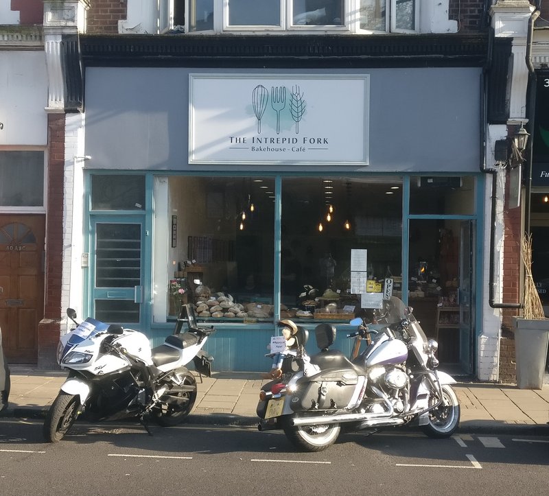 2010 Intrepid REVELATION CANYON RUNNER