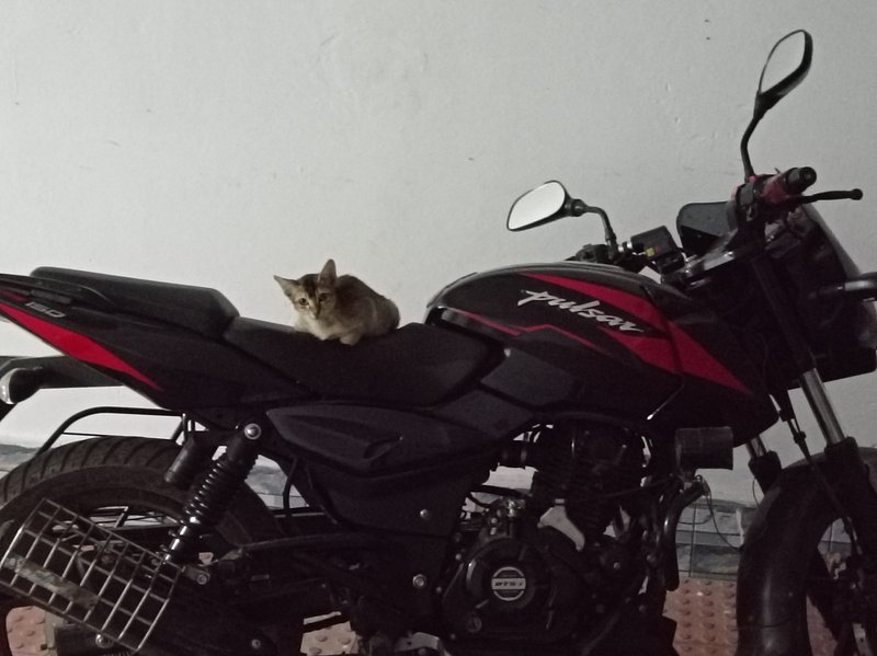 2011 Bajaj PULSAR 150