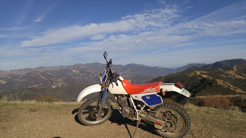 2011 Honda XR230