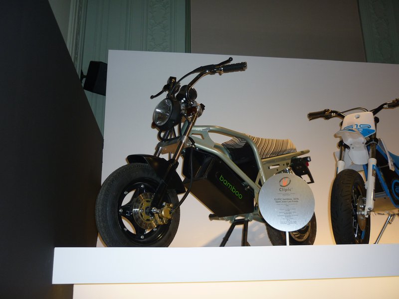 2013 Clipic BAMBOO