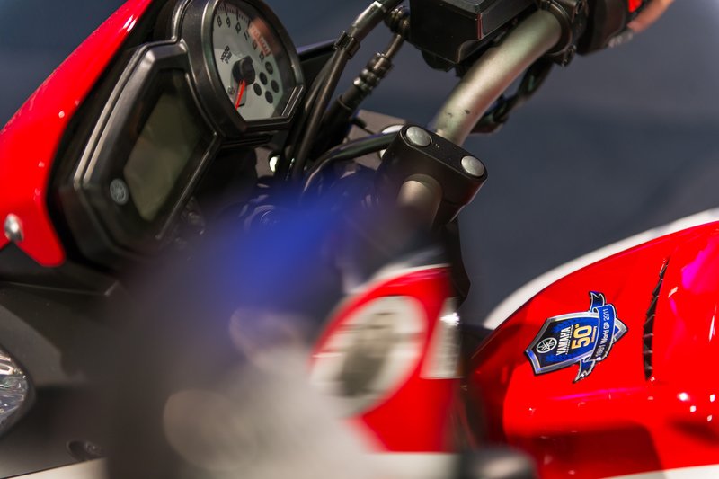 2013–2014 Yamaha FAZER 8