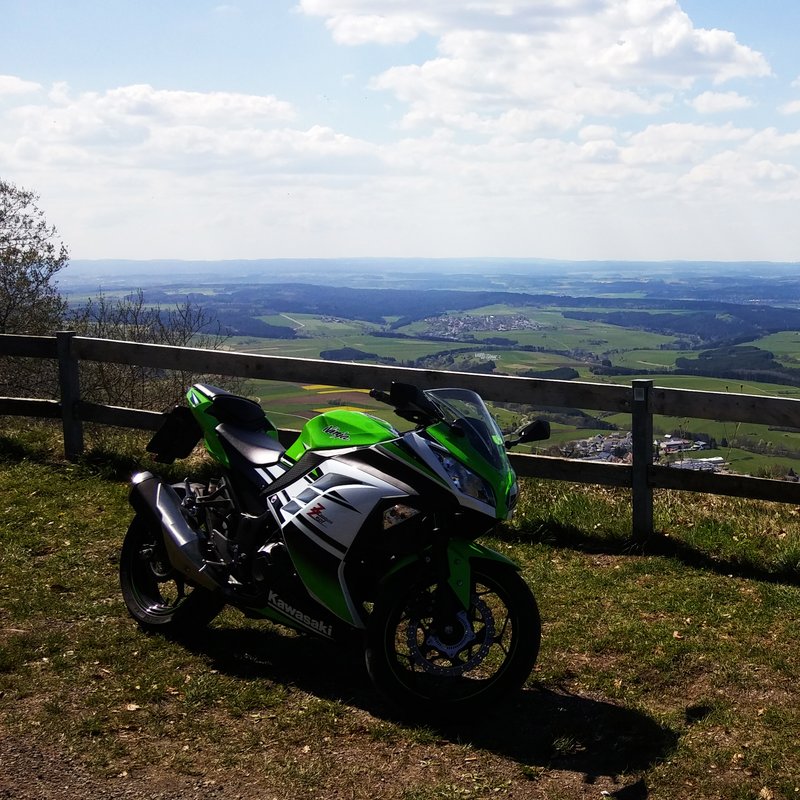 2014–2015 Kawasaki NINJA  300 SE