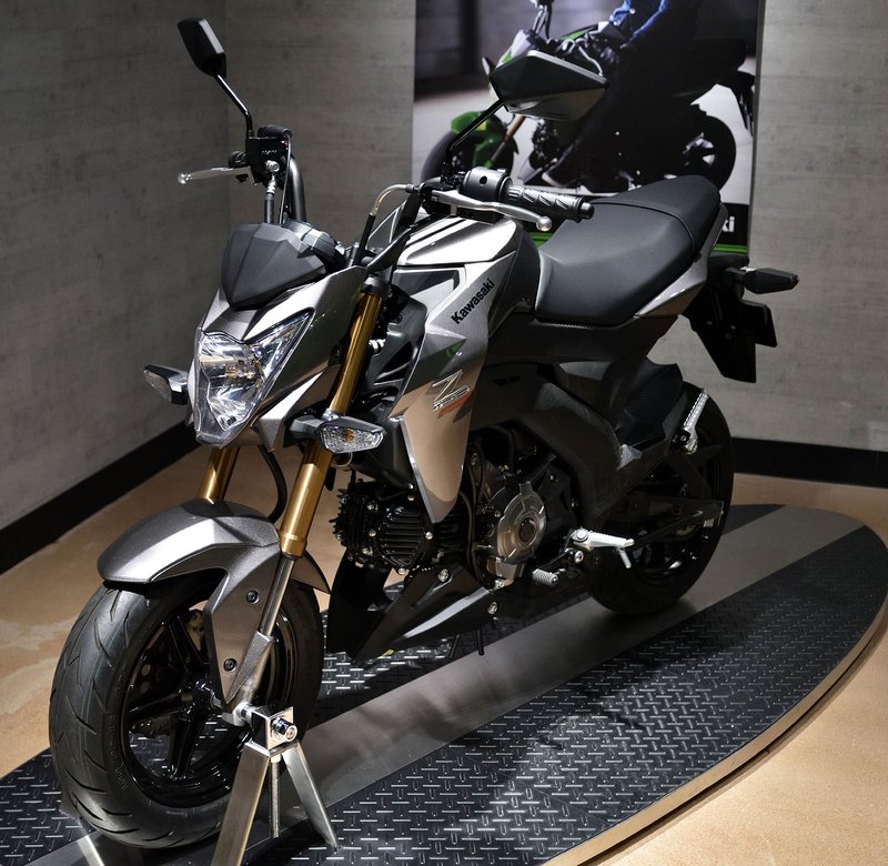2021–2022 Kawasaki Z125 PRO