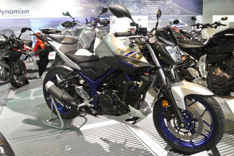 2017–2018 Yamaha MT-25