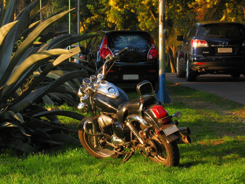 2021 UM RENEGADE LIMITED